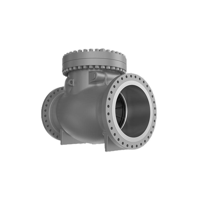 TOP ENTRY CHECK VALVES